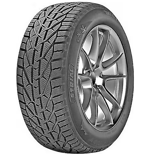 Strial Winter 205/55R17 95V XL - KolayOto