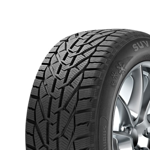 Taurus Winter 225/50R17 98V XL Lastiği