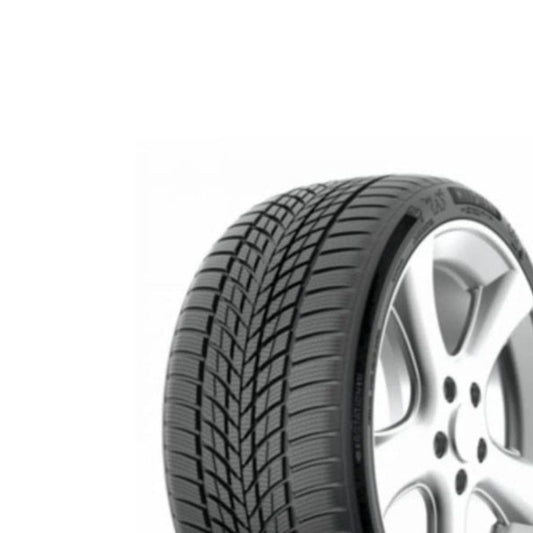 Funtoma Roadfun Winter 205/55R16 91H