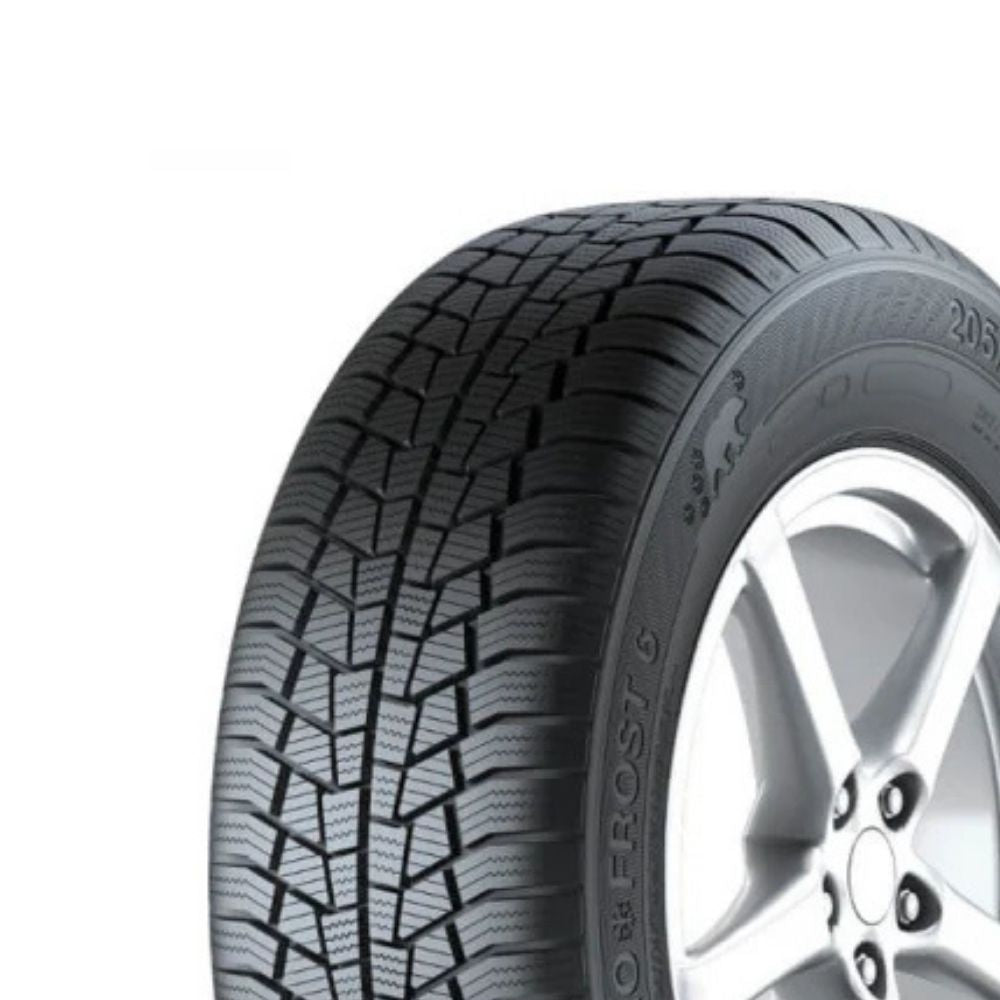 Gislaved Euro Frost 6 205/55R16 91T Lastiği
