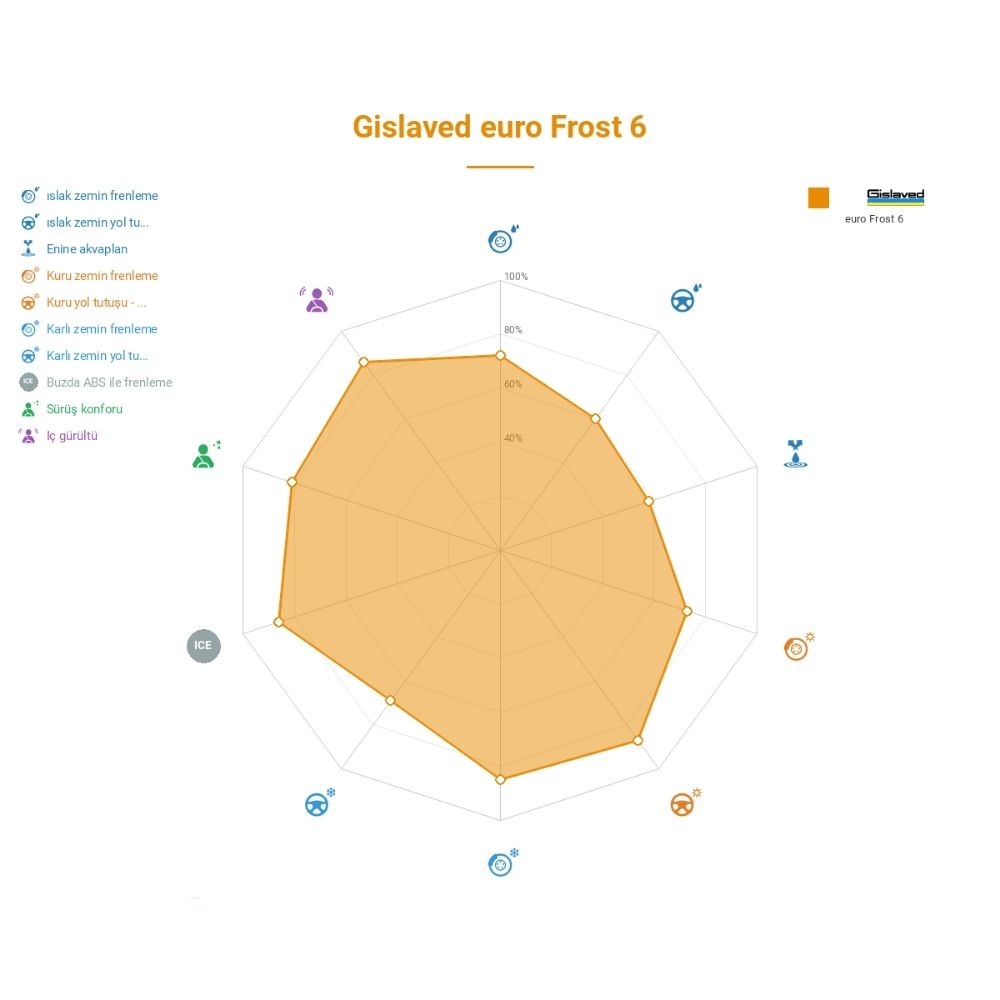 Gislaved Euro Frost 6 205/55R16 91T Lastiğinin Farklı Sürüş Koşullarına Göre Genel Performans Profili