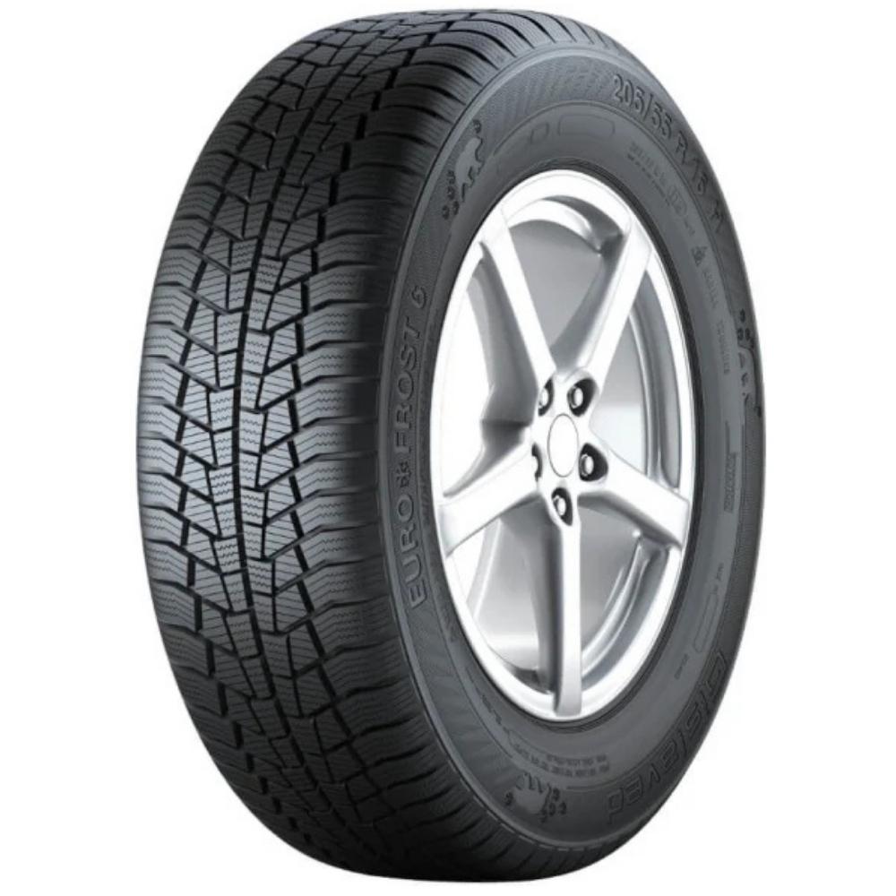 Gislaved Euro Frost 6 205/55R16 91T