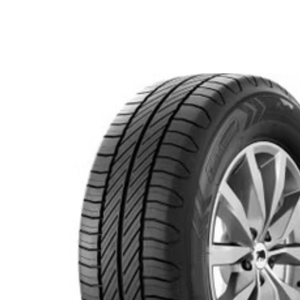 Taurus Cargo Speed Evo 215/70R15C 109/107S M+S Lastiği