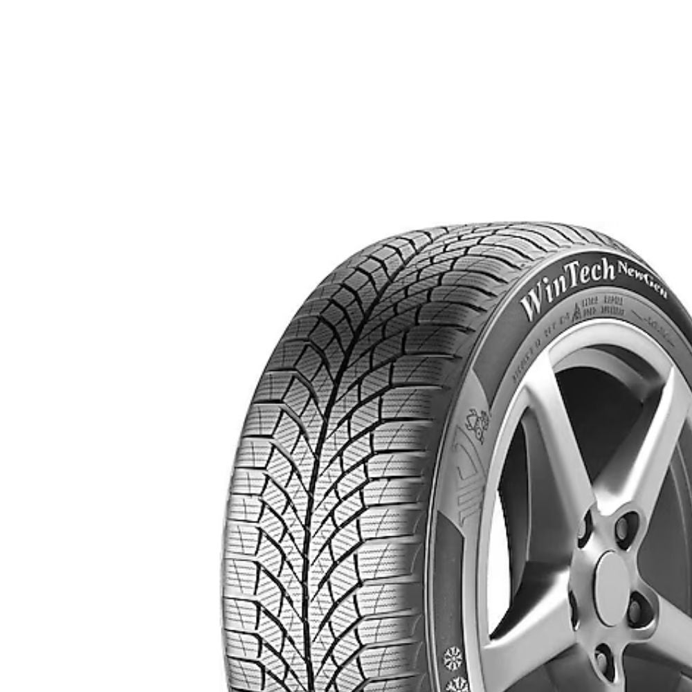 Viking WinTech NewGen 195/65R15 95H XL