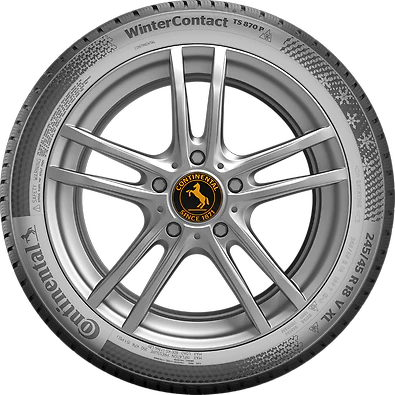 Continental WinterContact TS 870P 215/50R17 95H XL FR - KolayOto